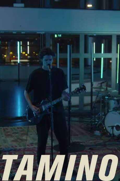Tamino - live @ Les Concerts Volants